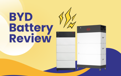 BYD Battery Review: Capacity, Output and Efficiency